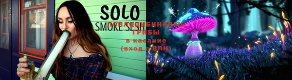шишки Новодвинск