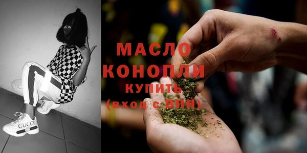 шишки Новодвинск