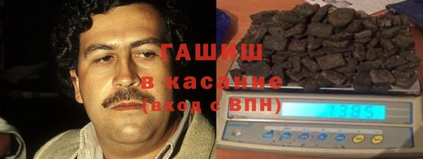 шишки Новодвинск