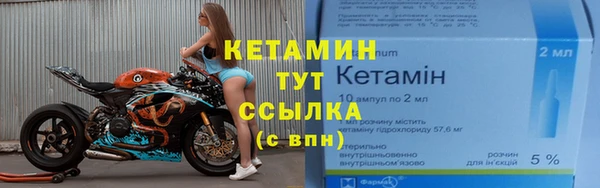 шишки Новодвинск