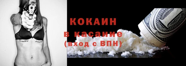 шишки Новодвинск