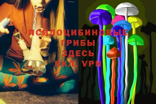 шишки Новодвинск