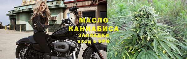 шишки Новодвинск