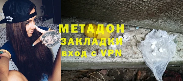шишки Новодвинск