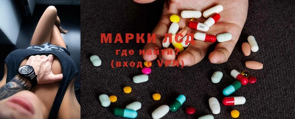 шишки Новодвинск
