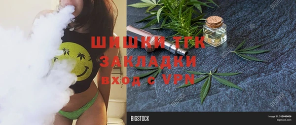 шишки Новодвинск