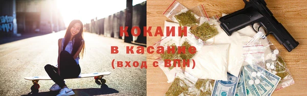 шишки Новодвинск