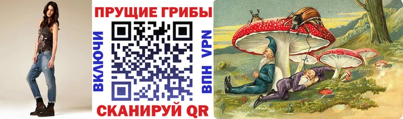 Галлюциногенные грибы Psilocybe  где найти   Сухиничи 